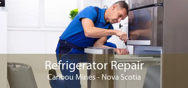 Refrigerator Repair Caribou Mines - Nova Scotia
