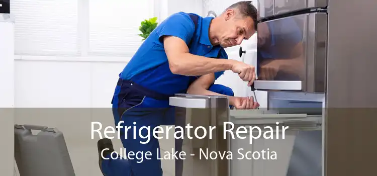 Refrigerator Repair College Lake - Nova Scotia