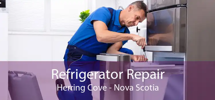Refrigerator Repair Herring Cove - Nova Scotia