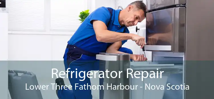 Refrigerator Repair Lower Three Fathom Harbour - Nova Scotia