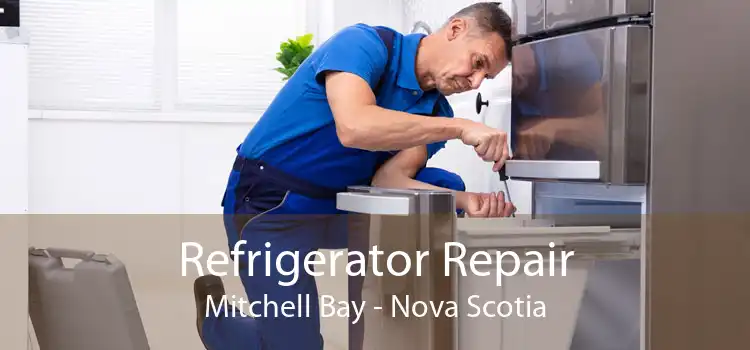 Refrigerator Repair Mitchell Bay - Nova Scotia