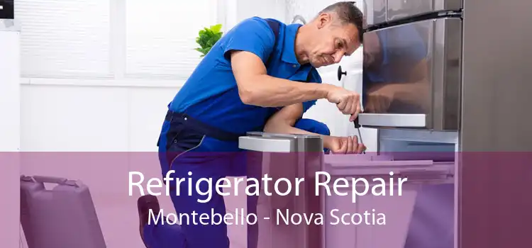 Refrigerator Repair Montebello - Nova Scotia