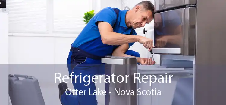 Refrigerator Repair Otter Lake - Nova Scotia