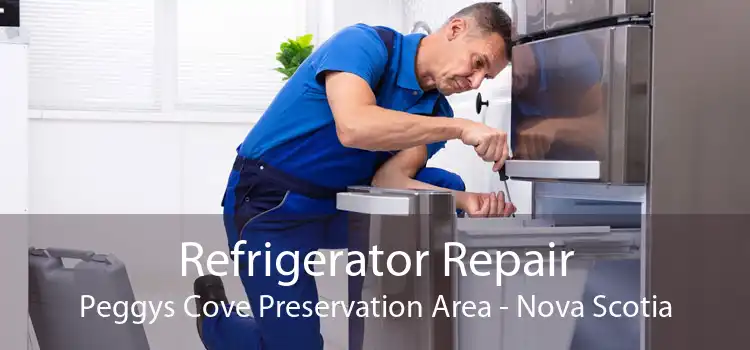 Refrigerator Repair Peggys Cove Preservation Area - Nova Scotia