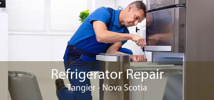 Refrigerator Repair Tangier - Nova Scotia