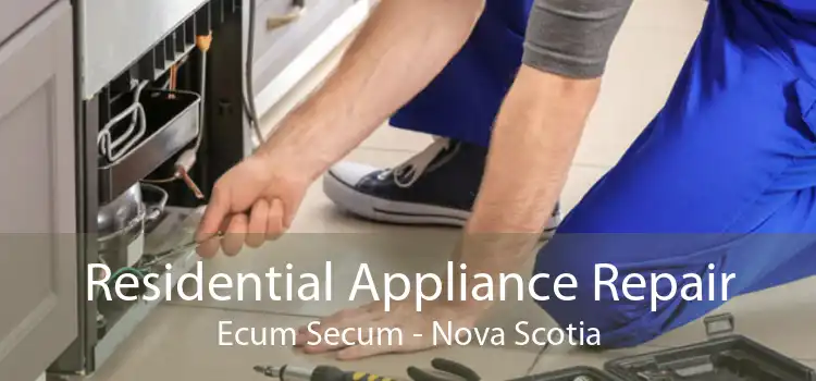 Residential Appliance Repair Ecum Secum - Nova Scotia