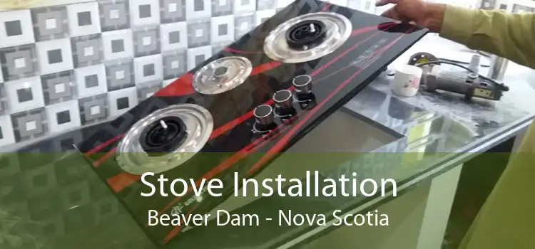 Stove Installation Beaver Dam - Nova Scotia