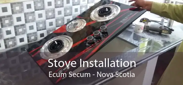 Stove Installation Ecum Secum - Nova Scotia