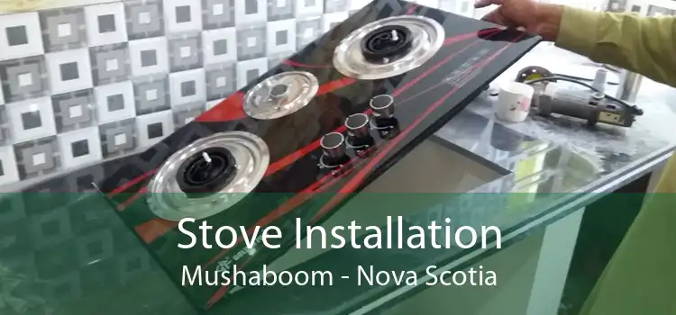 Stove Installation Mushaboom - Nova Scotia