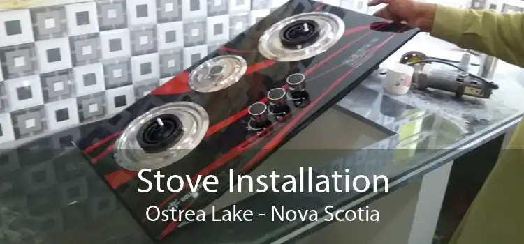 Stove Installation Ostrea Lake - Nova Scotia