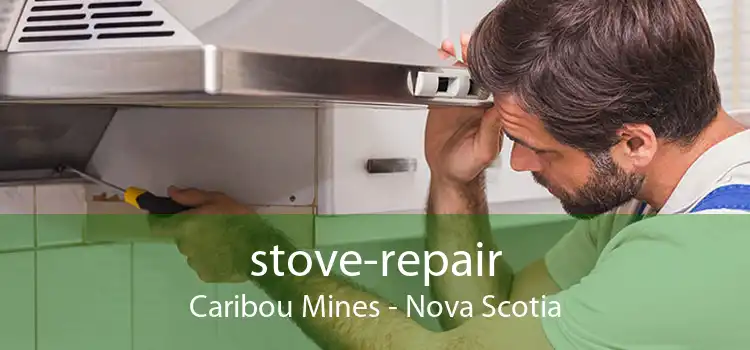stove-repair Caribou Mines - Nova Scotia