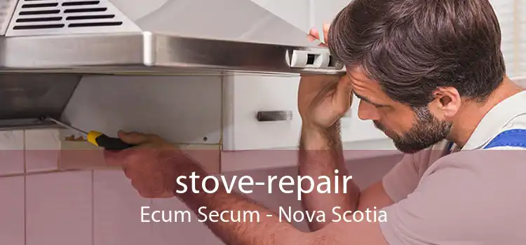 stove-repair Ecum Secum - Nova Scotia