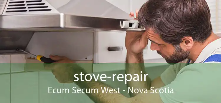 stove-repair Ecum Secum West - Nova Scotia
