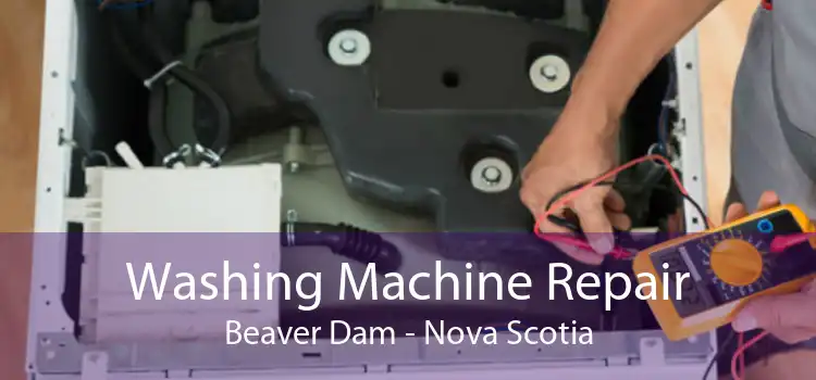 Washing Machine Repair Beaver Dam - Nova Scotia