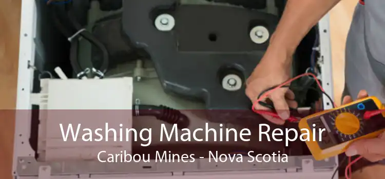 Washing Machine Repair Caribou Mines - Nova Scotia