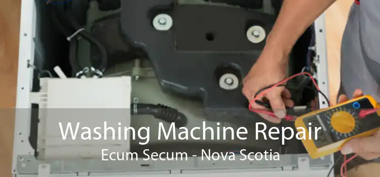 Washing Machine Repair Ecum Secum - Nova Scotia