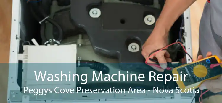 Washing Machine Repair Peggys Cove Preservation Area - Nova Scotia