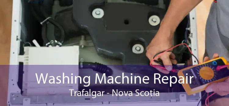 Washing Machine Repair Trafalgar - Nova Scotia