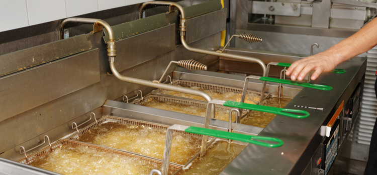 Thermador Commercial Fryer Repair in Halifax