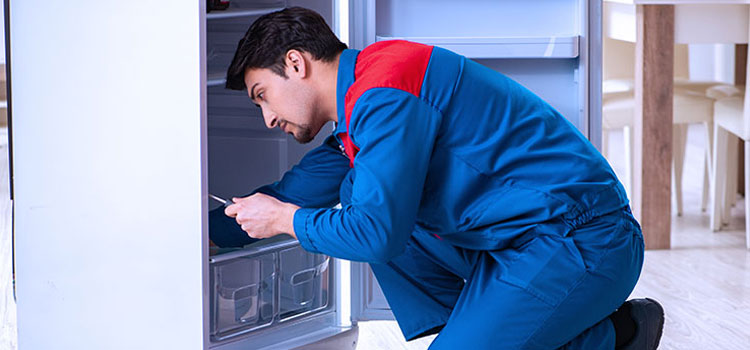 Thermador Freezer Repair Services in Halifax